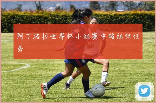 阿丁格拉世界杯小组赛中路组织任务