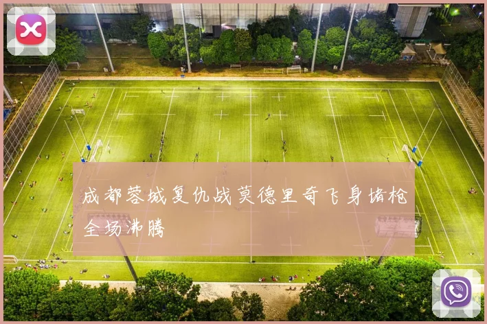成都蓉城复仇战莫德里奇飞身堵枪全场沸腾