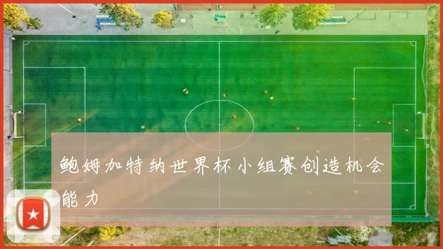 鲍姆加特纳世界杯小组赛创造机会能力