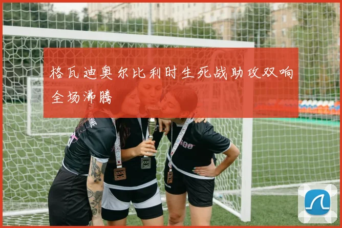 格瓦迪奥尔比利时生死战助攻双响全场沸腾