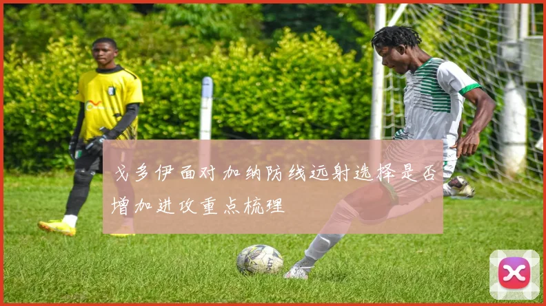 戈多伊面对加纳防线远射选择是否增加进攻重点梳理