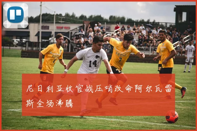 尼日利亚收官战压哨改命阿尔瓦雷斯全场沸腾